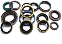 Oil Seal