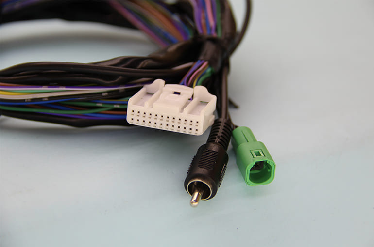 CCD Harness