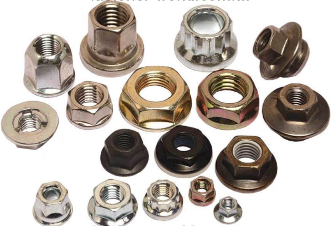 Flange Nuts／Hex Nuts-Flange Nuts／Hex Nuts