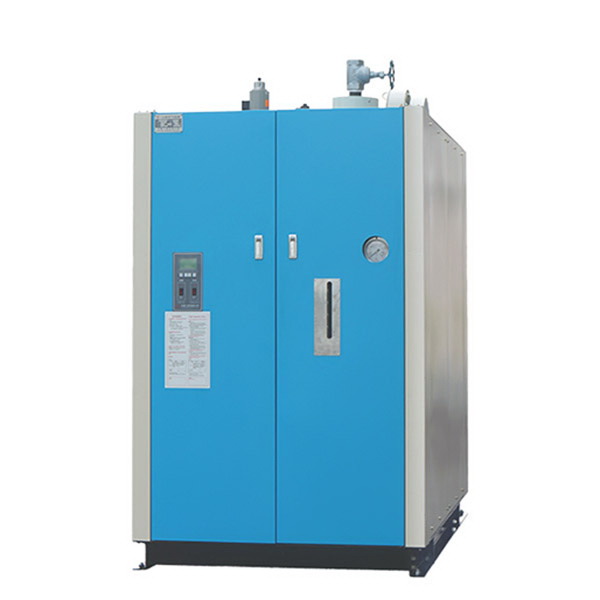 Gas Remote Control Steam Boiler