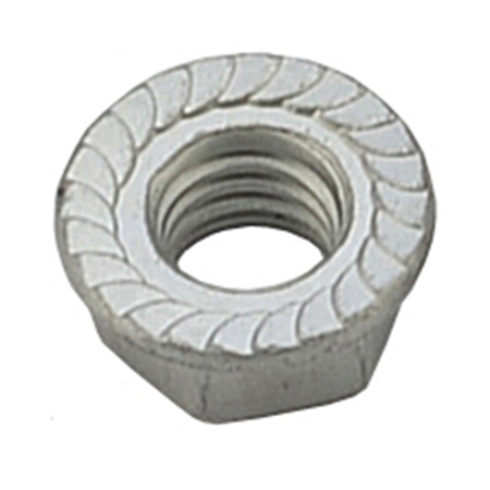 Hex Flange Nut-Hex Flange Nut