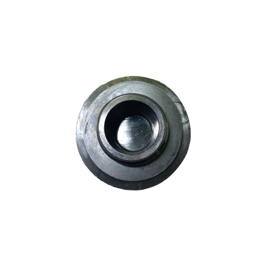 Oil Cap-GWO981