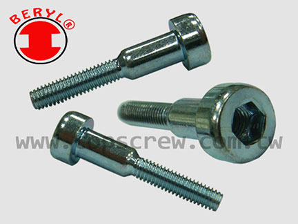 Cylinder Screw