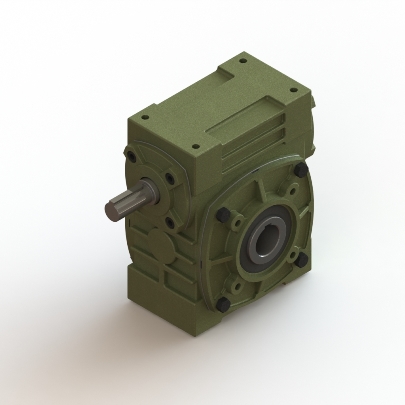 Worm Gear Reducer