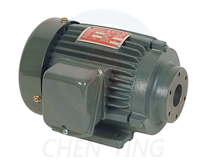 Horizontal Motor With Cast Iron Frame