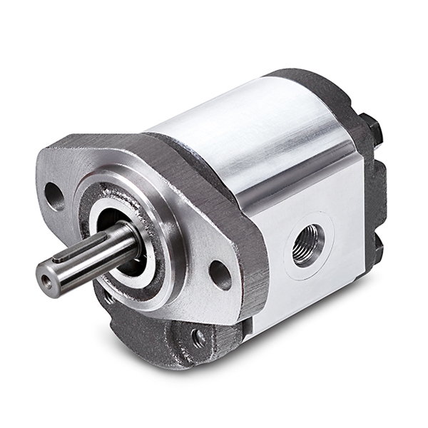 1G Series Cast Iron Gear Pumps-1G