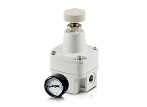 ERX series Precision Regulator ( Energy Saving - No Overflow )-EXR