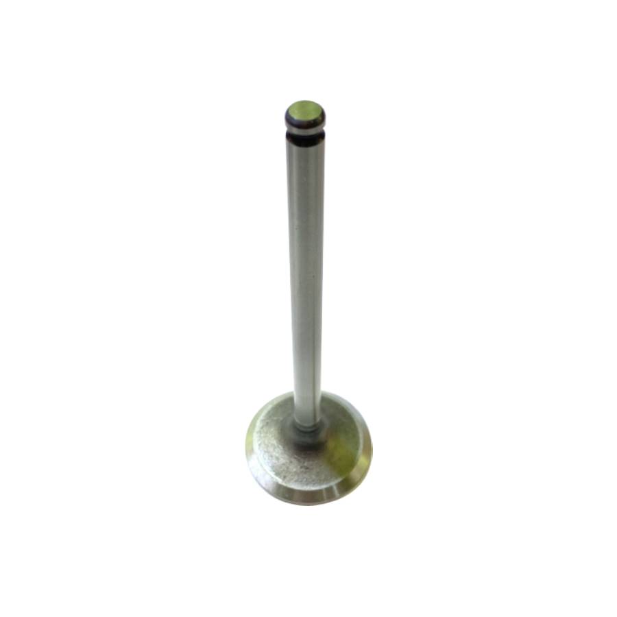 Engine Valve-MD198404