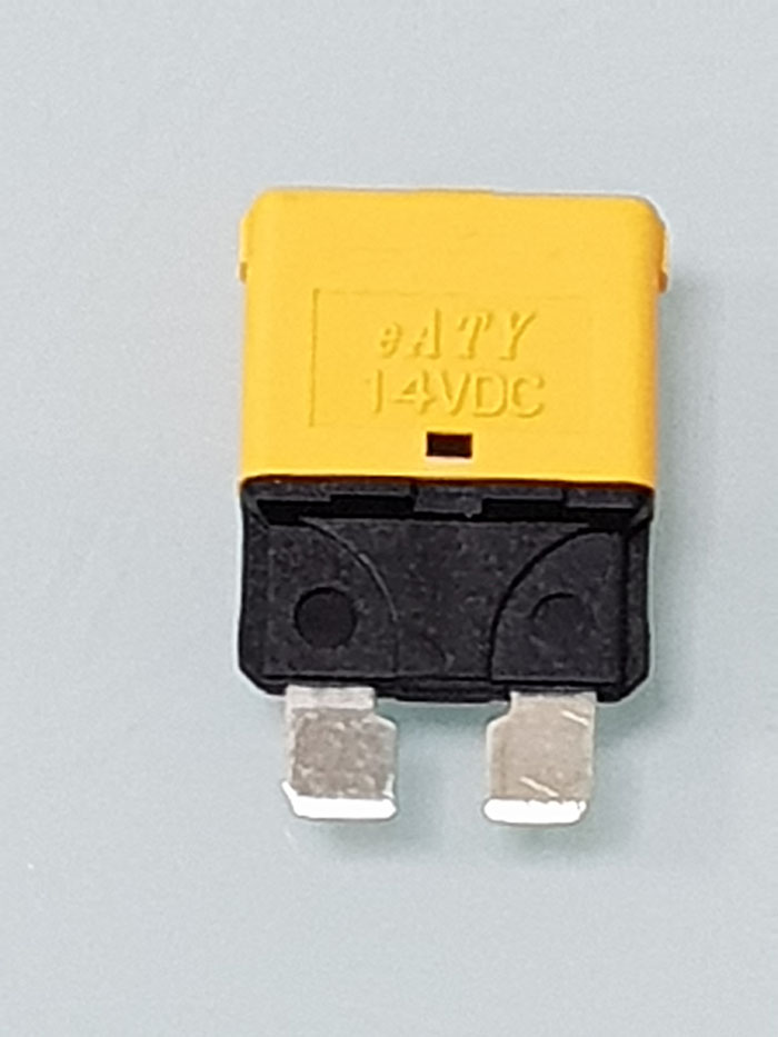 eATY Standard Blade Type Circuit Breaker Auto Reset-eATY Series