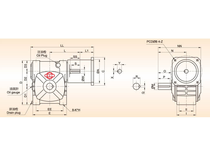 Double Lead Worm Gear Reducer-ASF 系列