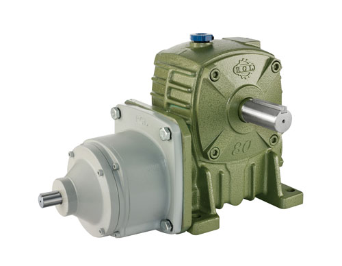 Two-Stage Worm Gear Reducer (Worm-Gear)-BGFD 系列