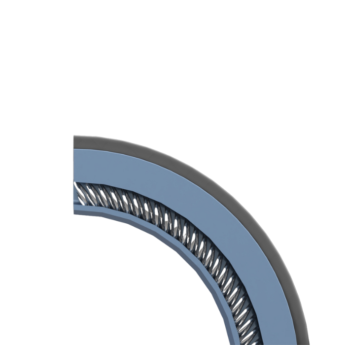 Rotary Spring Energized Seal-Type CH