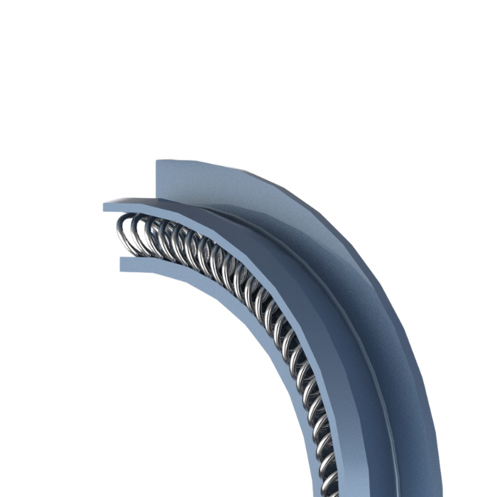 Rotary Spring Energized Seal-Type CD